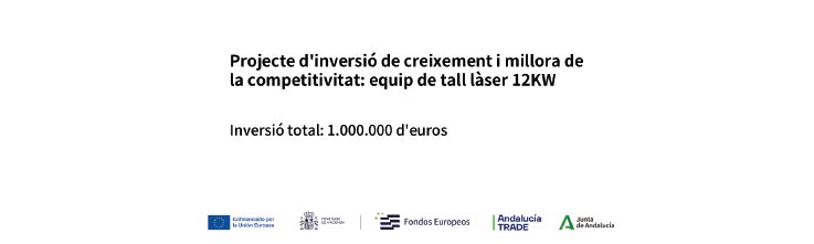 Noticies Projecte d'inversió de creixement i millora de la competitivitat: equip de tall làser 12KW
