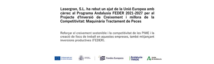 Projecte d'inversió de creixement i millora de la competitivitat: maquinària tractament de peces