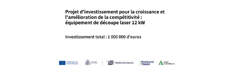 Nouvelles Projet d'investissement pour la croissance et l'amélioration de la compétitivité : équipement de découpe laser 12 kW