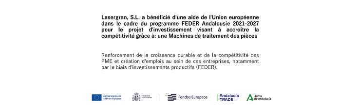 Project d'investissement pour la croissance et l'amélioration de la compétitivité : machine de machines de traitement des pièces